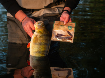 Greenfin River Bundle