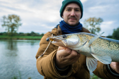 Greenfin River Bundle