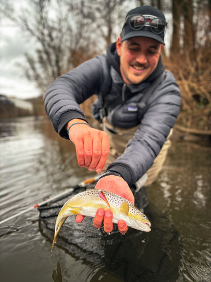 Greenfin Creek Bundle