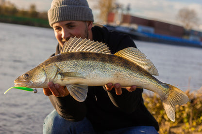 Greenfin River Bundle